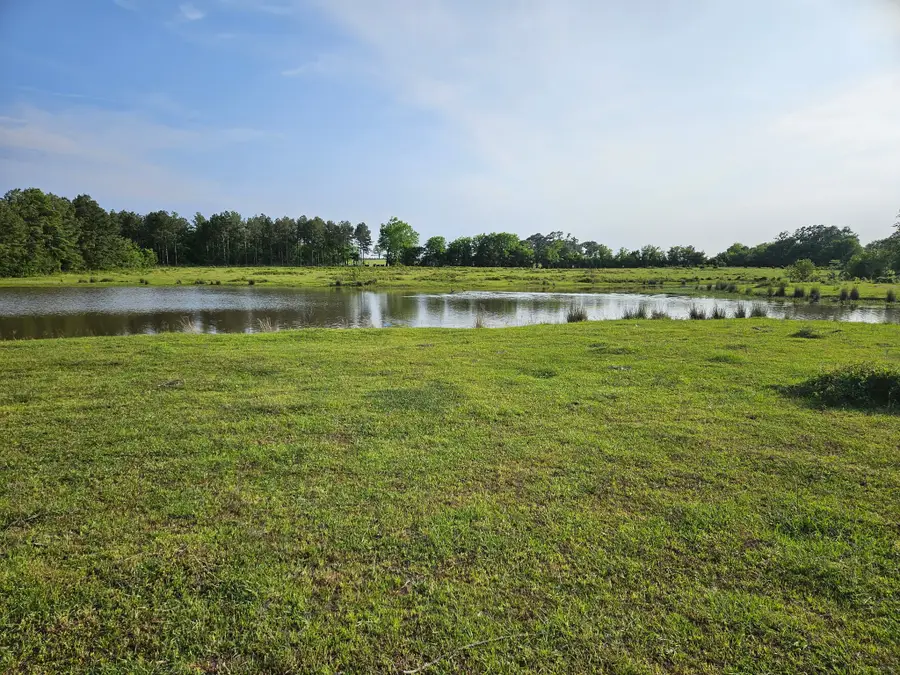 377 Fm 3179 Road, Huntsville, TX 77340 - #2