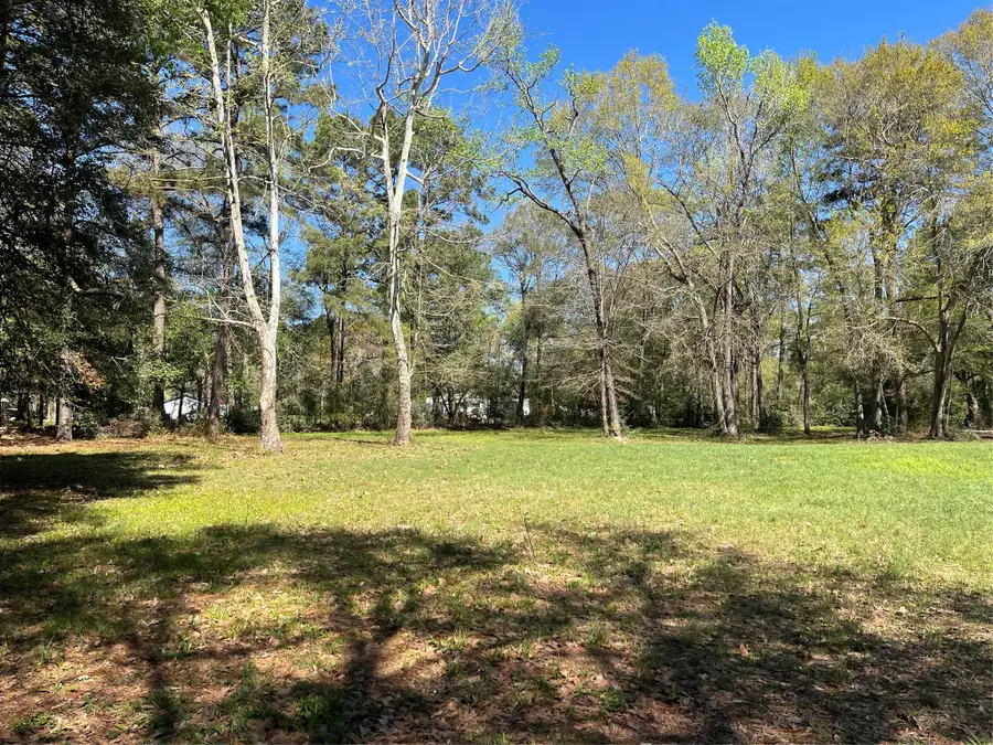 13527 Mccomb Road, Conroe, TX 77302 - #3