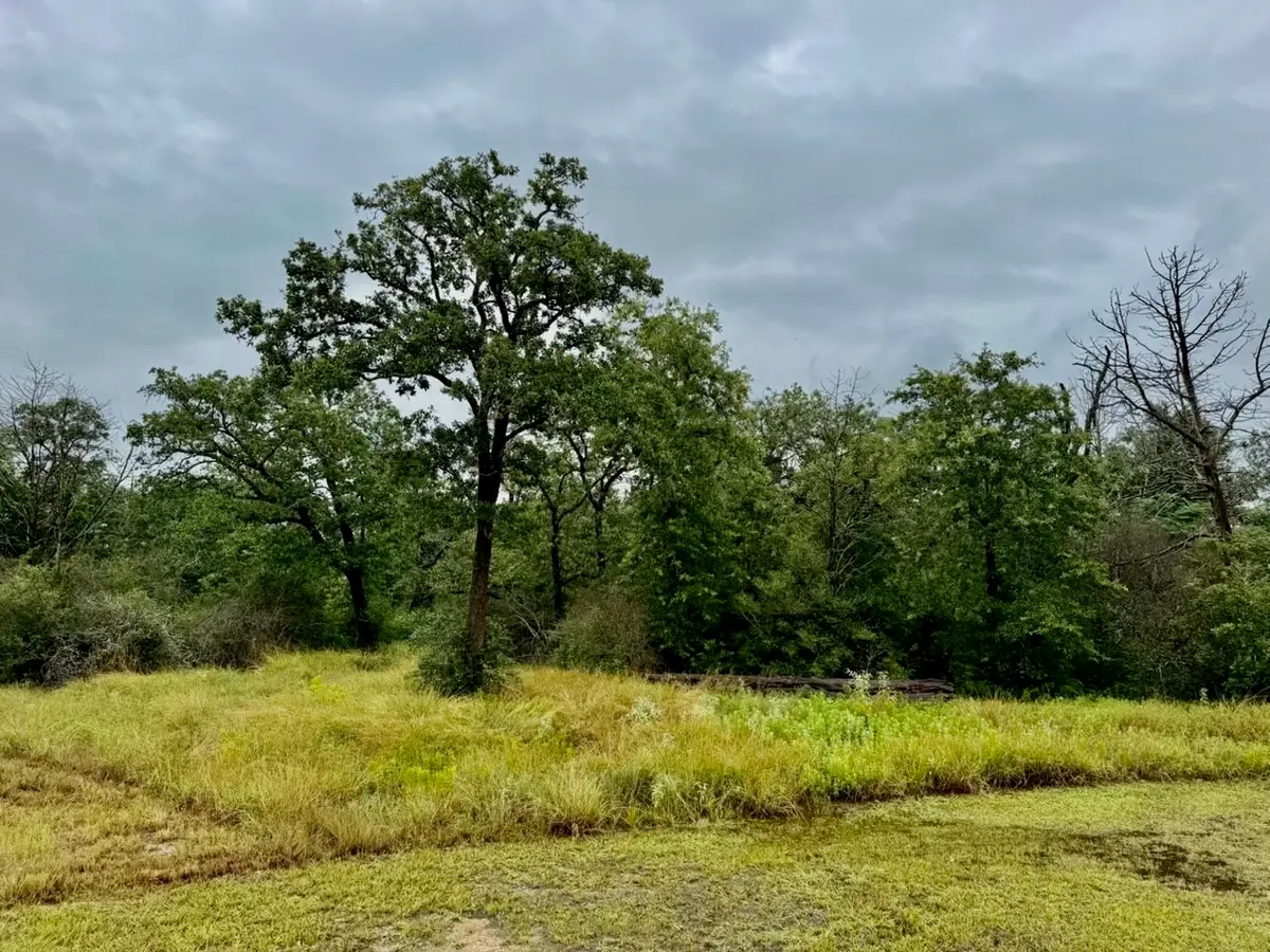 195 Sadie Lane, Round Top, TX 78954 - #1