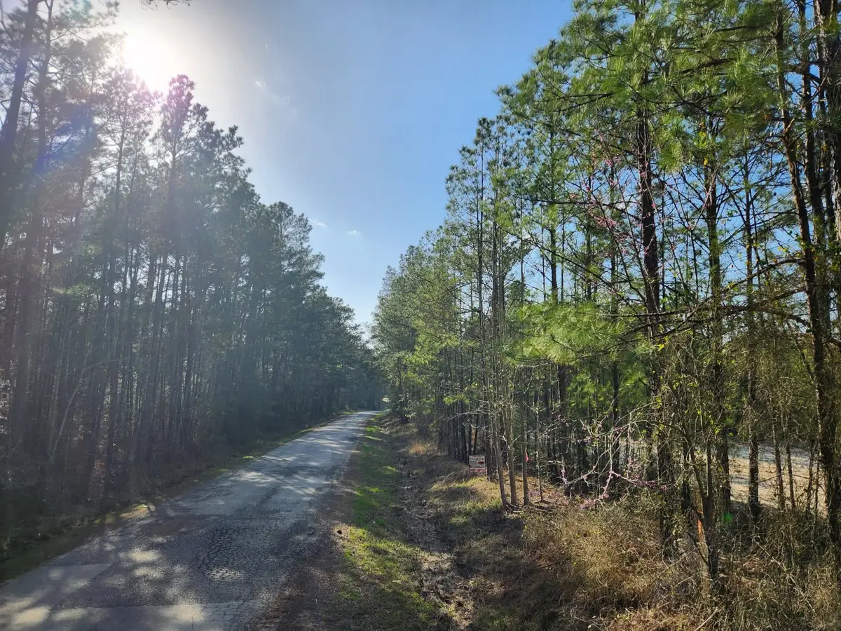 1037 Counts Rd, Point Blank, TX 77364 - Image #1