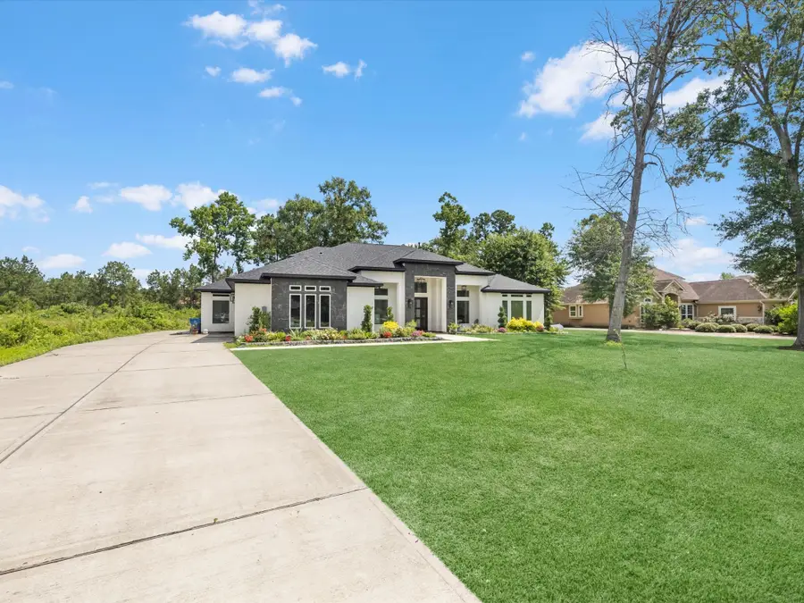 19447 Desna Drive, Porter, TX 77365 - Image #2