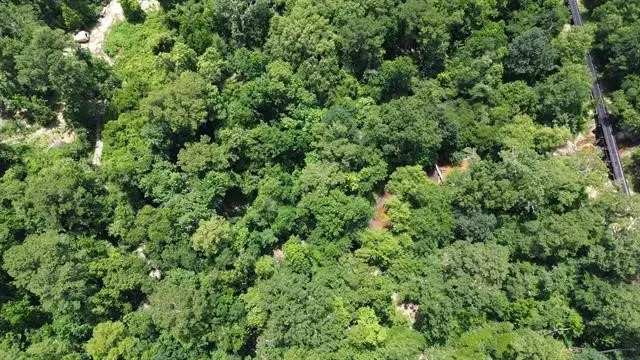 367 Cr 4240, Bon Wier, TX 75928 - #3