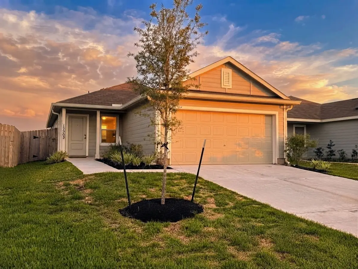 12502 Mountain Daisy Road, Houston, TX 77038 - #1