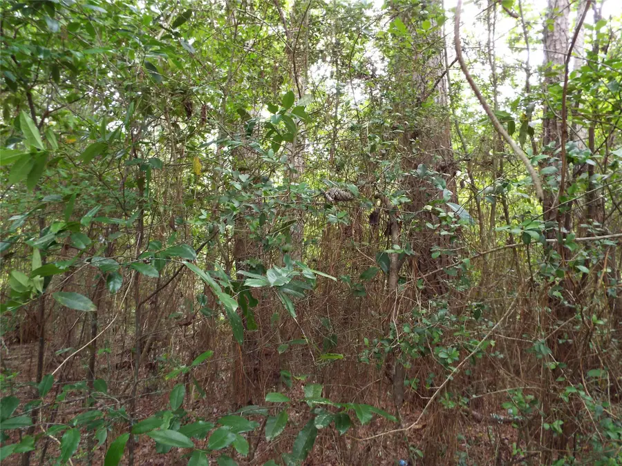 TBD 00 Fm 222 Loop S Highway, Coldspring, TX 77331 - Image #3