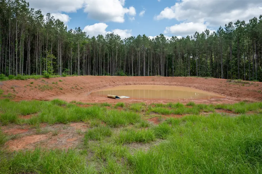 tbd Tile Plant Road, Woodville, TX 75979 - #2