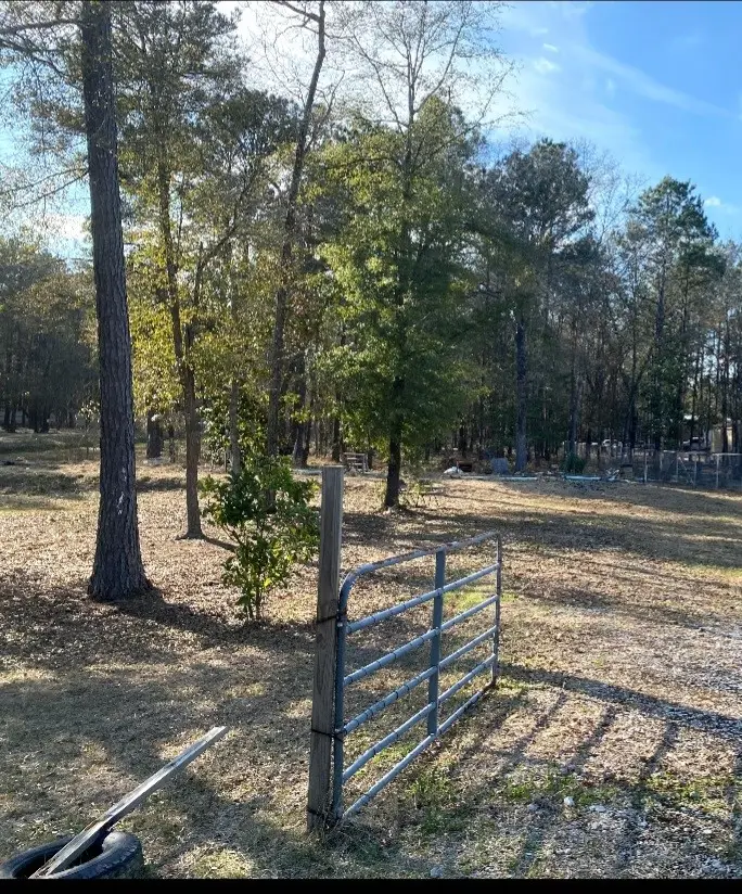 23859 Mydas Fly Lane, New Caney, TX 77357 - #1