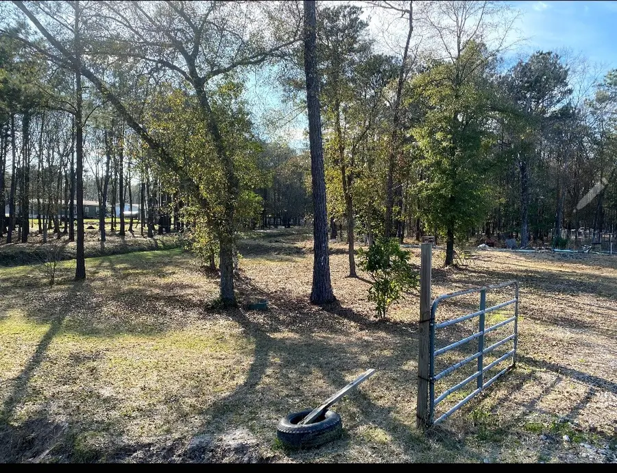 23859 Mydas Fly Lane, New Caney, TX 77357 - #2