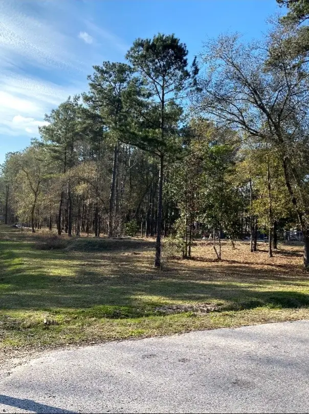 23859 Mydas Fly Lane, New Caney, TX 77357 - #3