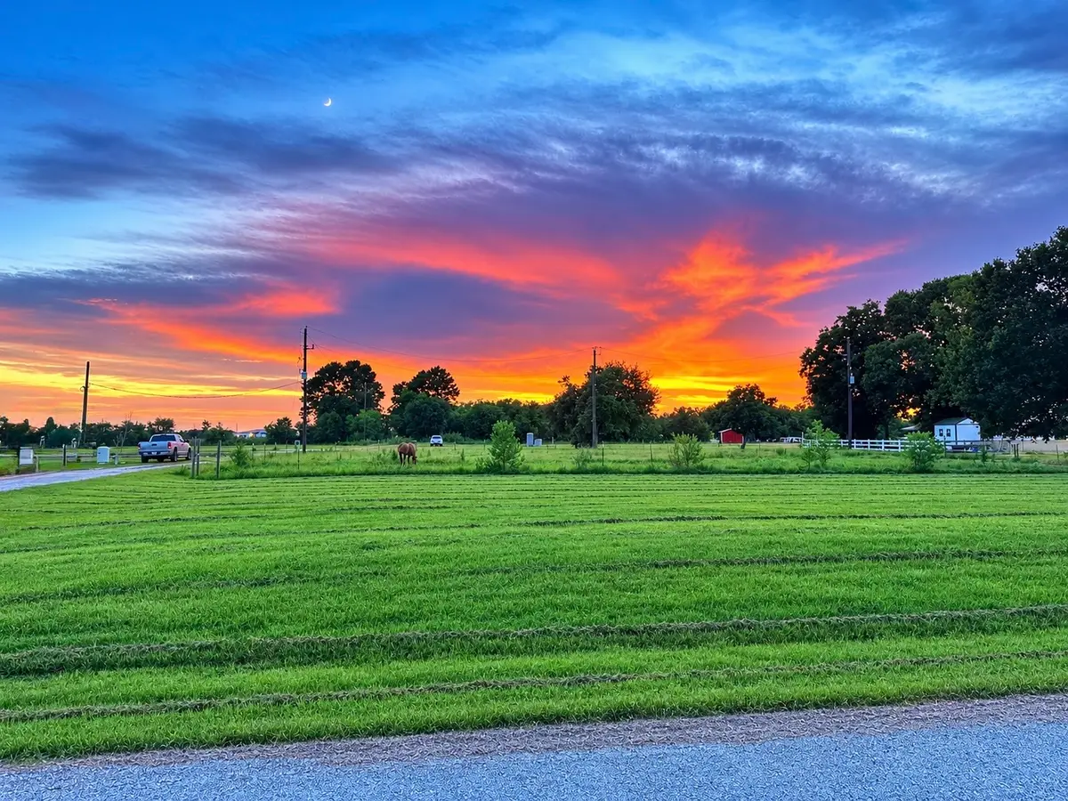 TBD S Mallard Drive, Fulshear, TX 77441 - #1