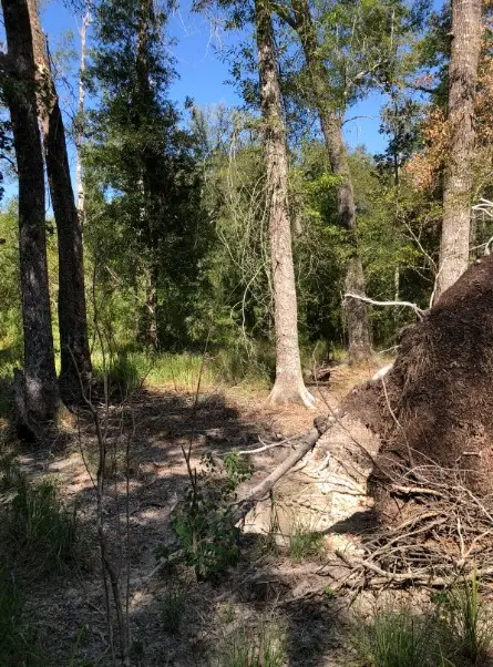 0 Co Rd 2746, Cleveland, TX 77372 - Image #2