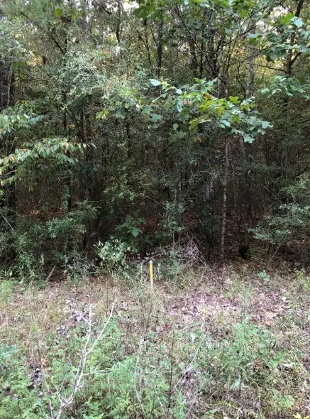 0 Co Rd 2746, Cleveland, TX 77372 - Image #3