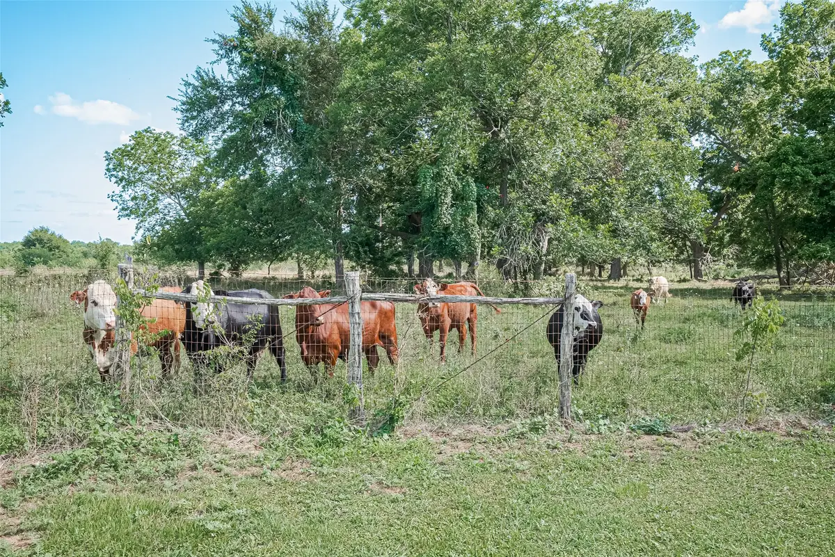 2511 Hartwell Road, Brookshire, TX 77423 - Image #1