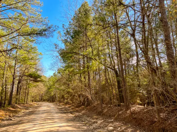 14 Union Springs Road, Corrigan, TX 75939
