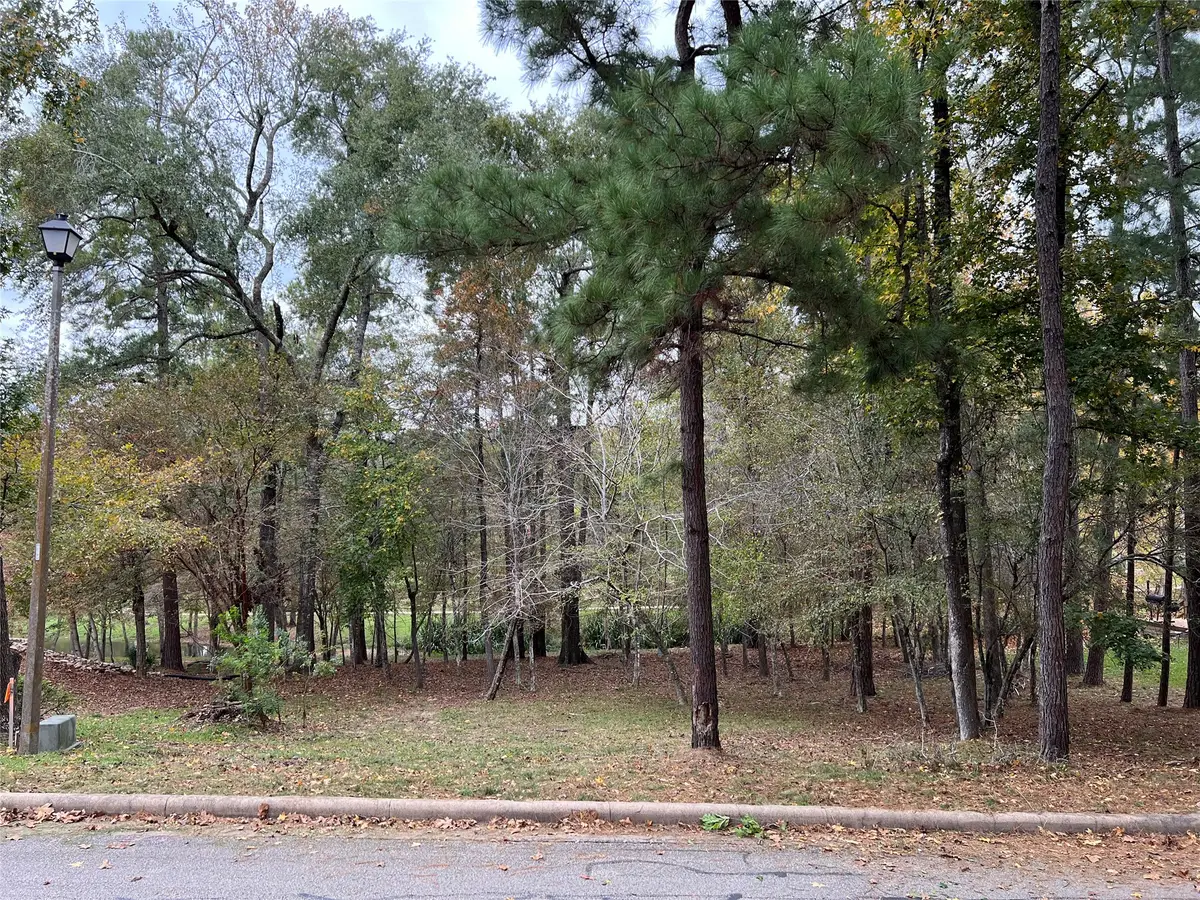 2019 E Lake Drive, Huntsville, TX 77340 - #1