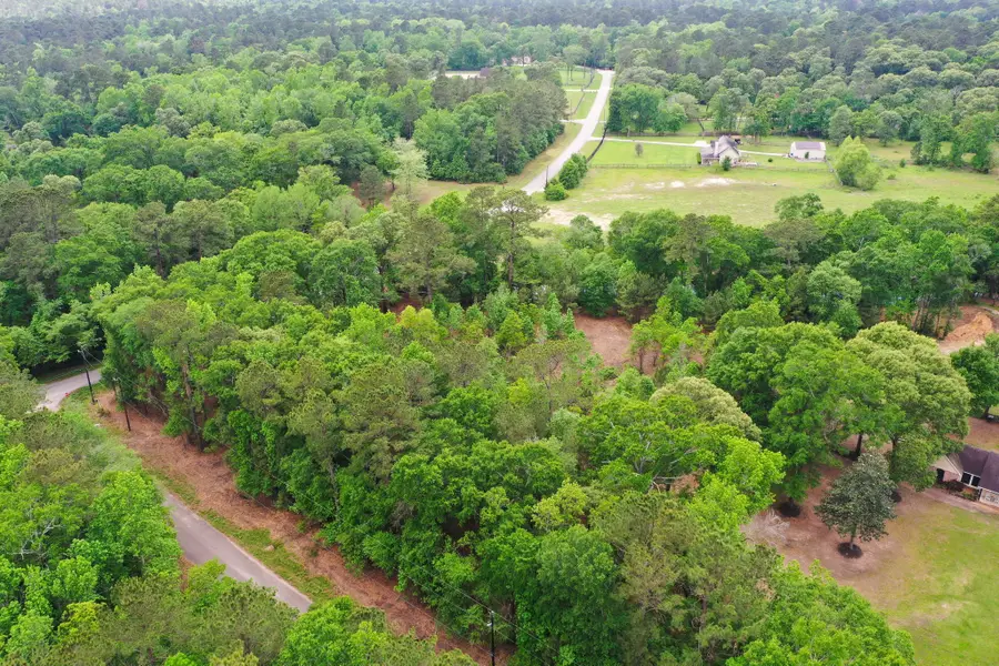 0 Daniel Street, Magnolia, TX 77354 - #2
