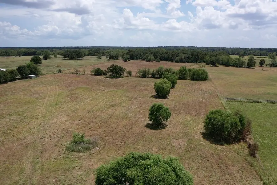 14 AC Halliday Lane, Madisonville, TX 77864 - #2