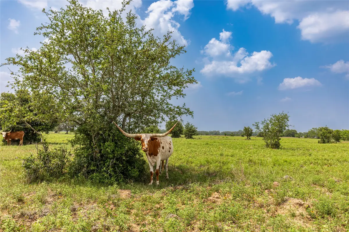 Tract 2 County Road 106, Columbus, TX 78934 - Image #1