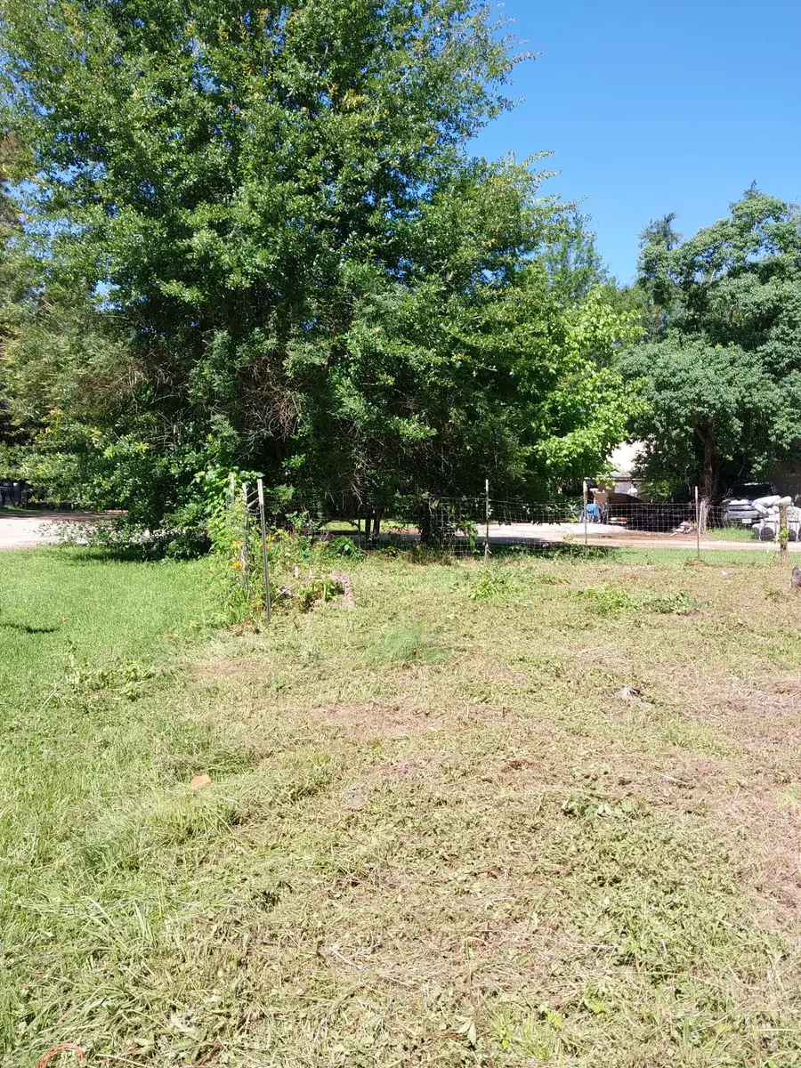 9090 Marigold Street, Willis, TX 77318 - #2