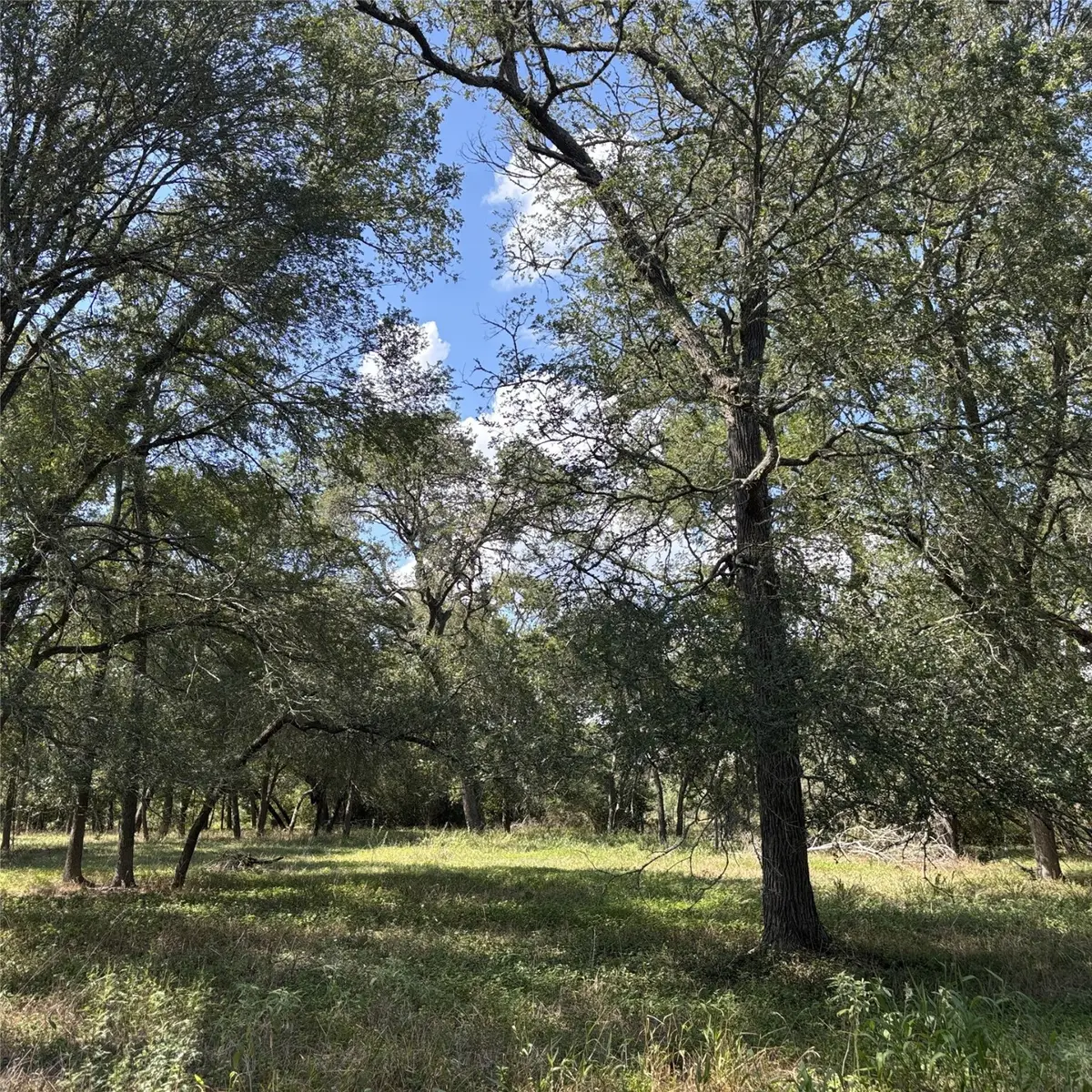 2477 State Highway 159, La Grange, TX 78945 - Image #1