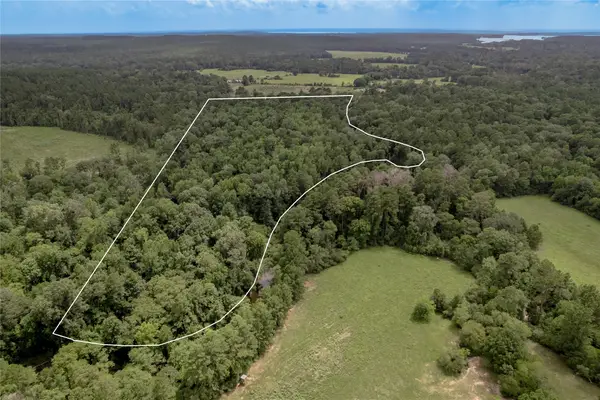 438 Cody Road, Groveton, TX 75845