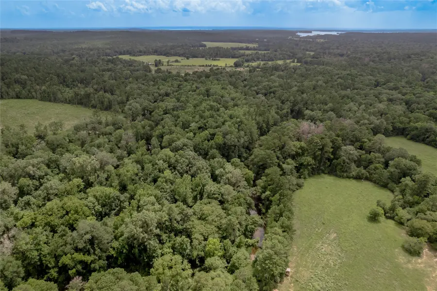 438 Cody Road, Groveton, TX 75845 - #3