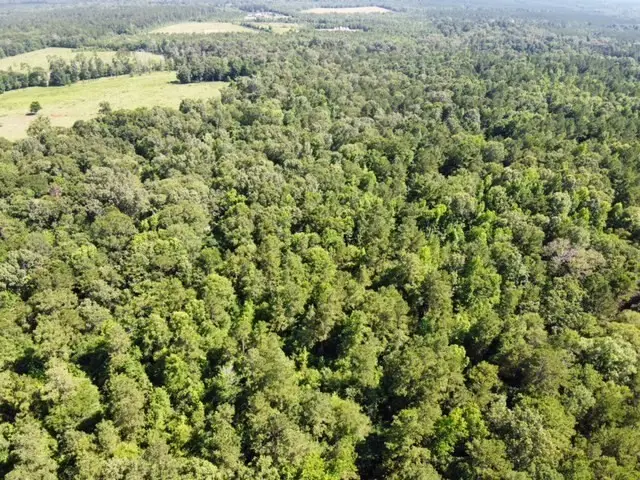 AB 247-2 Cr 416, San Augustine, TX 75972 - #3