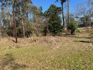 171 Cherry Tree, Livingston, TX 77351 - #2