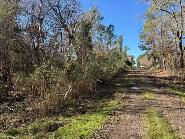 00 The Woods Road, Coldspring, TX 77331