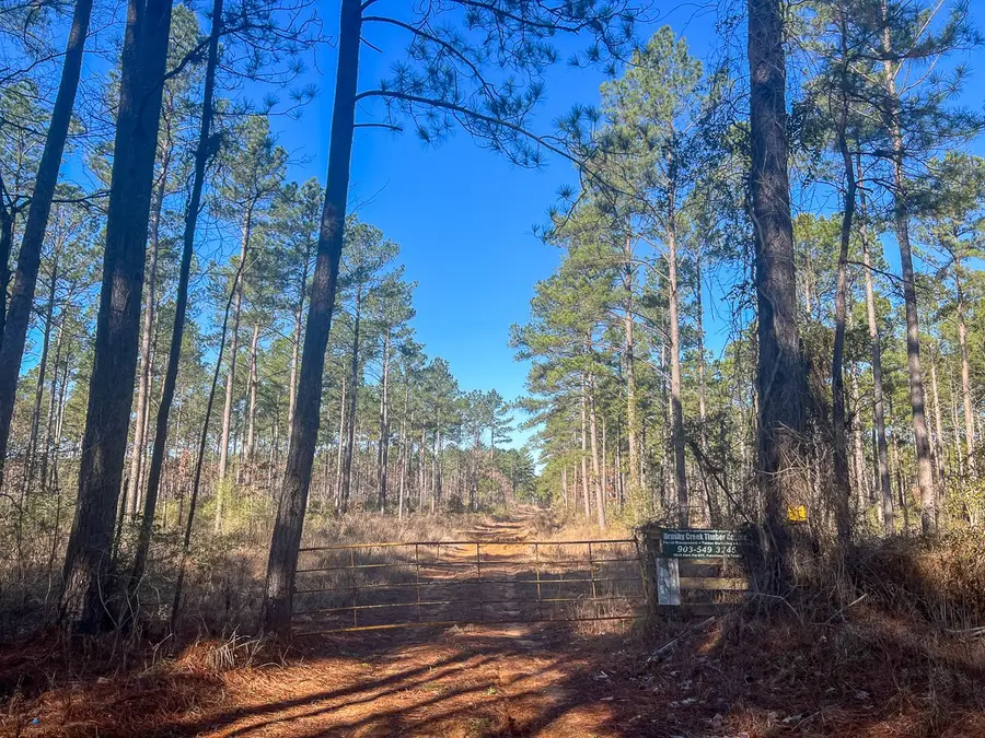 4 Highway 287, Pennington, TX 75845 - #2