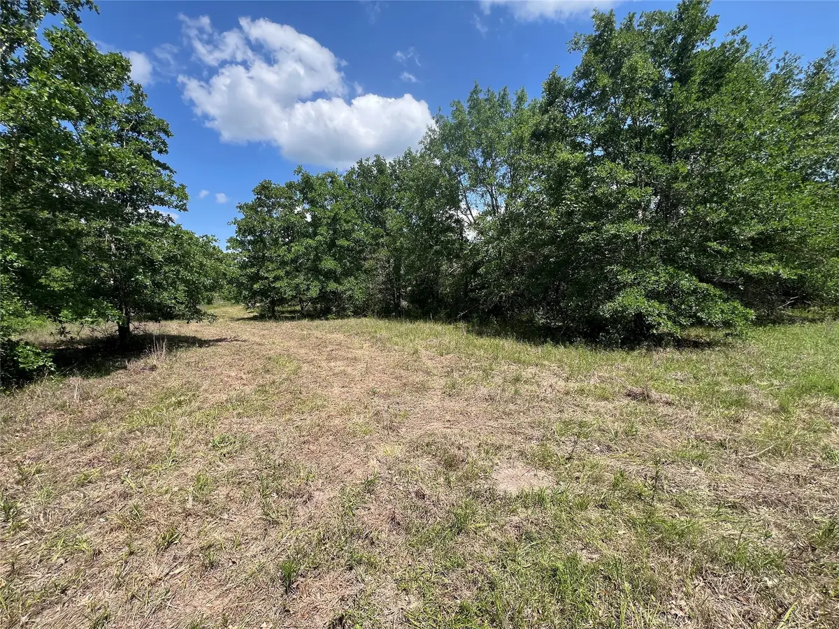 Lot #3 Cr 218 Road, Anderson, TX 77830 - Image #1