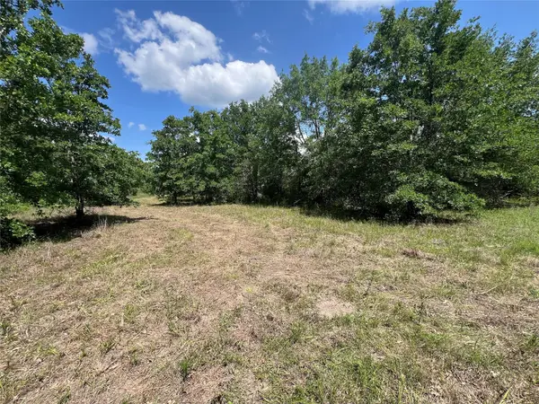 Lot #3 Cr 218 Road, Anderson, TX 77830