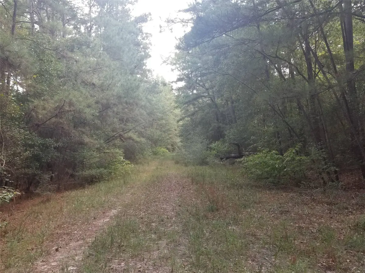 R16902 (Lot 9) Medicine Man Circle, Hempstead, TX 77484 - #1