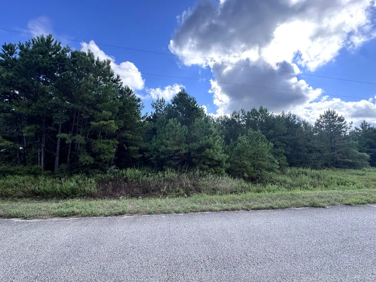 4546 N Duck Creek Road, Cleveland, TX 77328 - #1