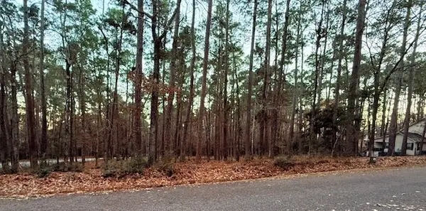 220 & 7 Altwood Drive, Coldspring, TX 77331