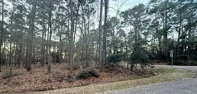 220 & 7 Altwood Drive, Coldspring, TX 77331 - #2