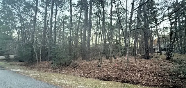 220 & 7 Altwood Drive, Coldspring, TX 77331 - #3