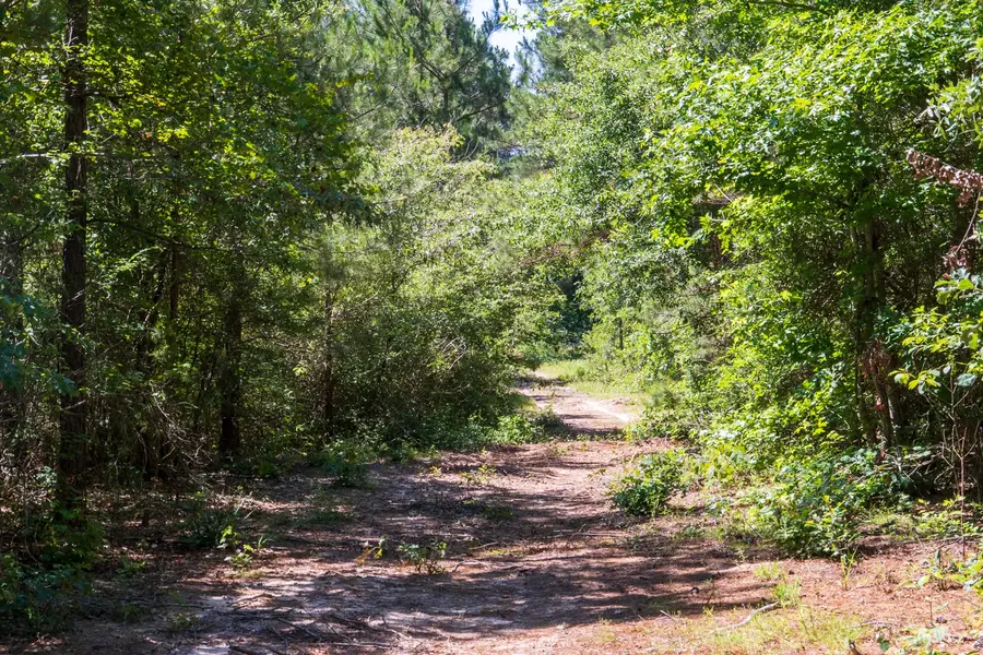 00 00 Fm 3016, Grapeland, TX 75844 - #2