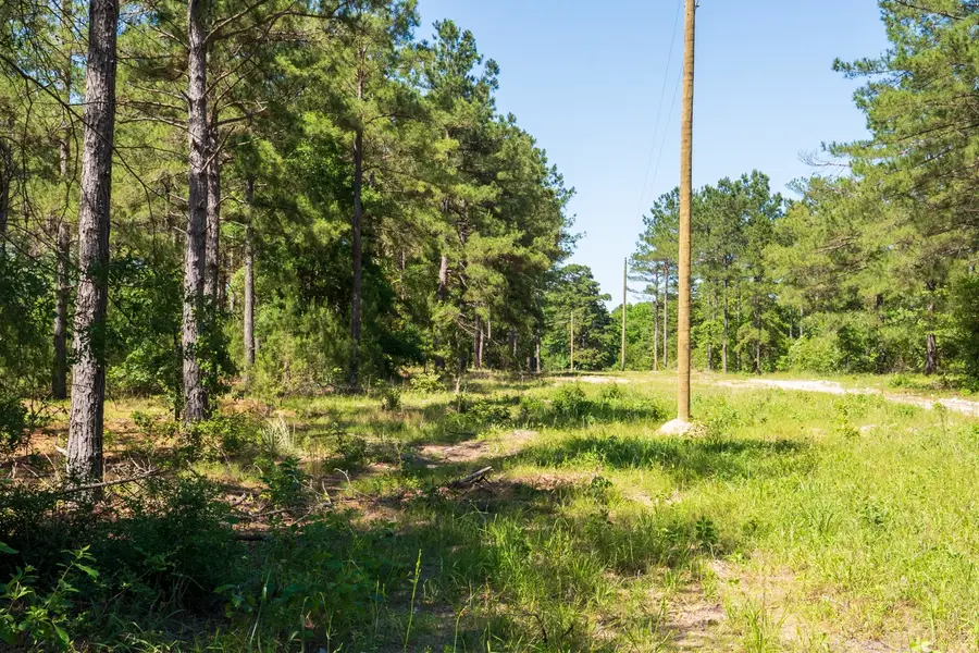 00 00 Fm 3016, Grapeland, TX 75844 - #3