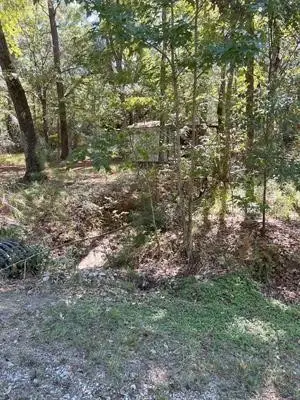 TBD Nueces Drive, Trinity, TX 75862 - #3