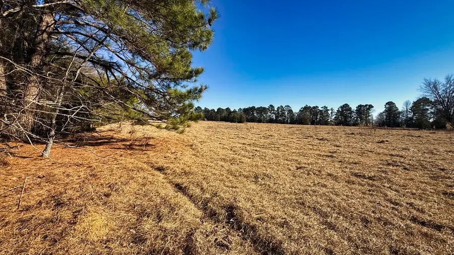 TBD #7 County Road 477, Henderson, TX 75654 - #3