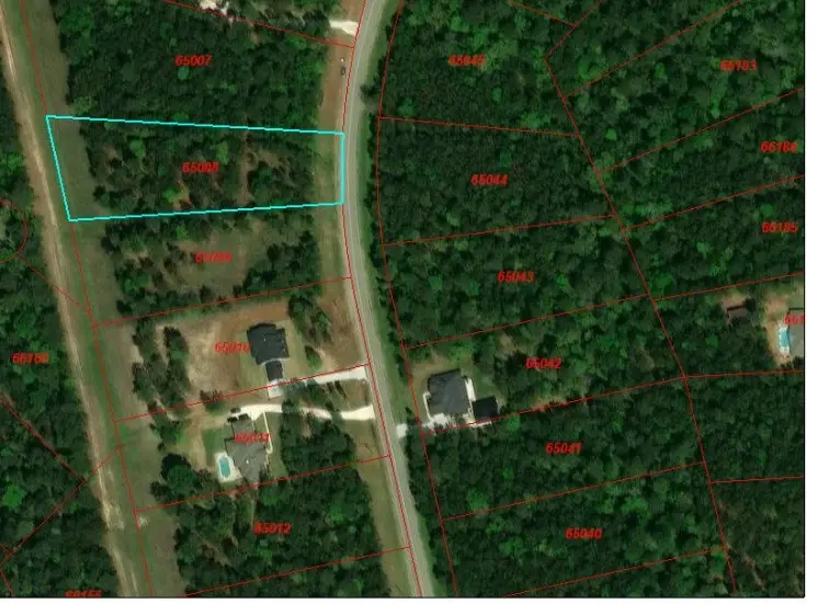 273 Dipping Vat Road, Huntsville, TX 77340 - Image #2