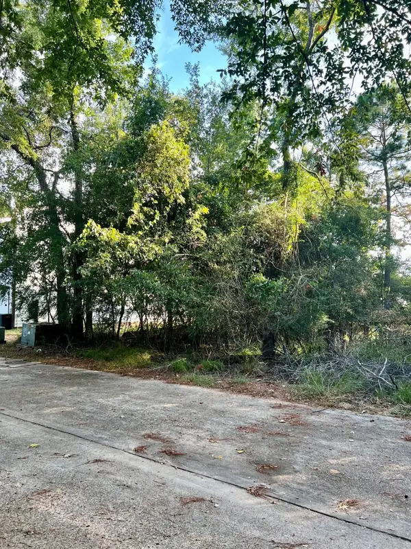 3106 Poe Drive, Montgomery, TX 77356