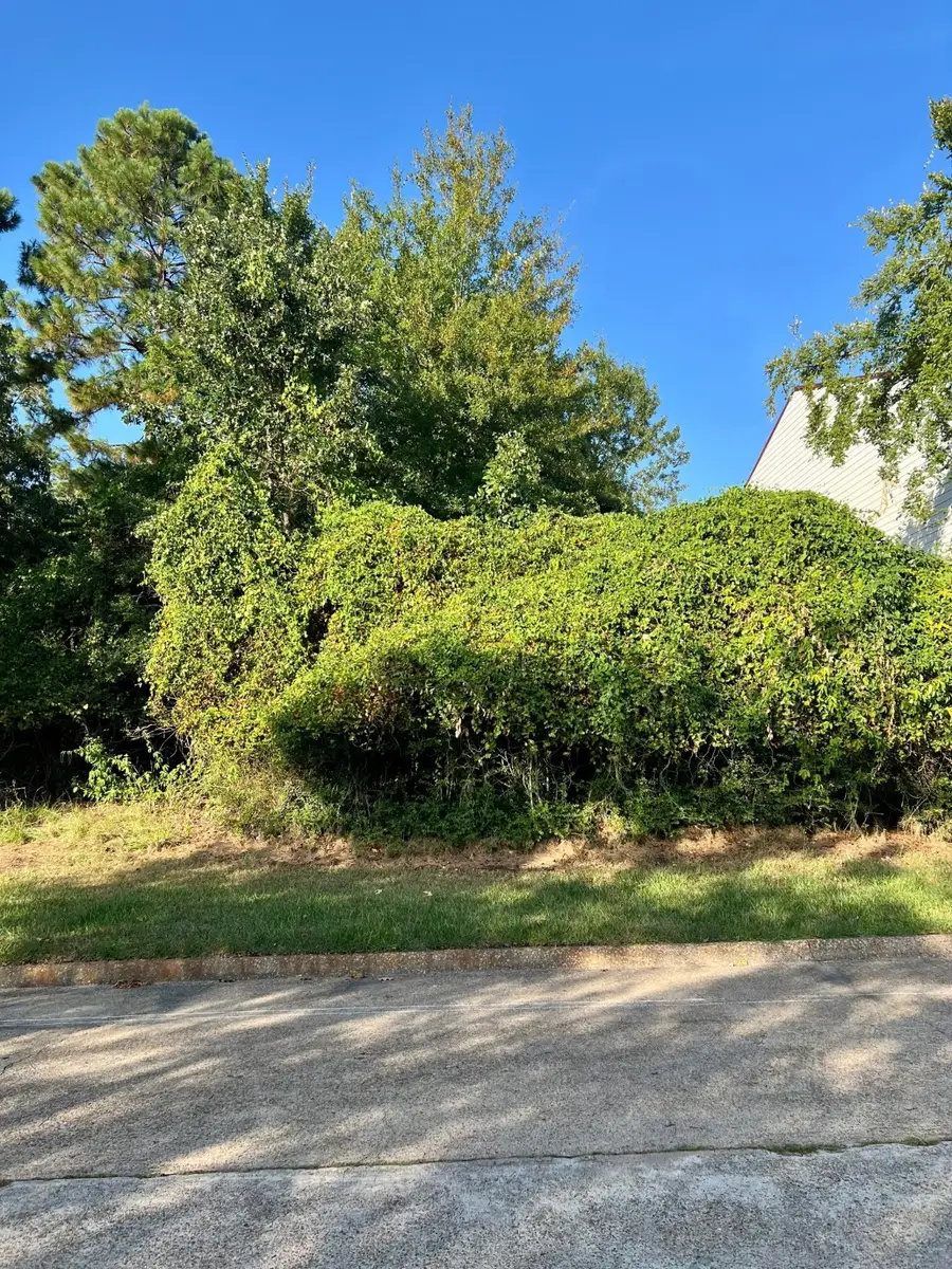 3106 Poe Drive, Montgomery, TX 77356 - Image #3