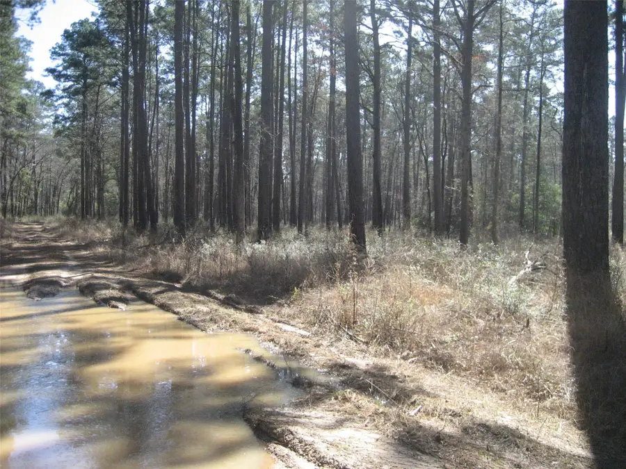 00 Usf 505, Kennard, TX 75847 - Image #2