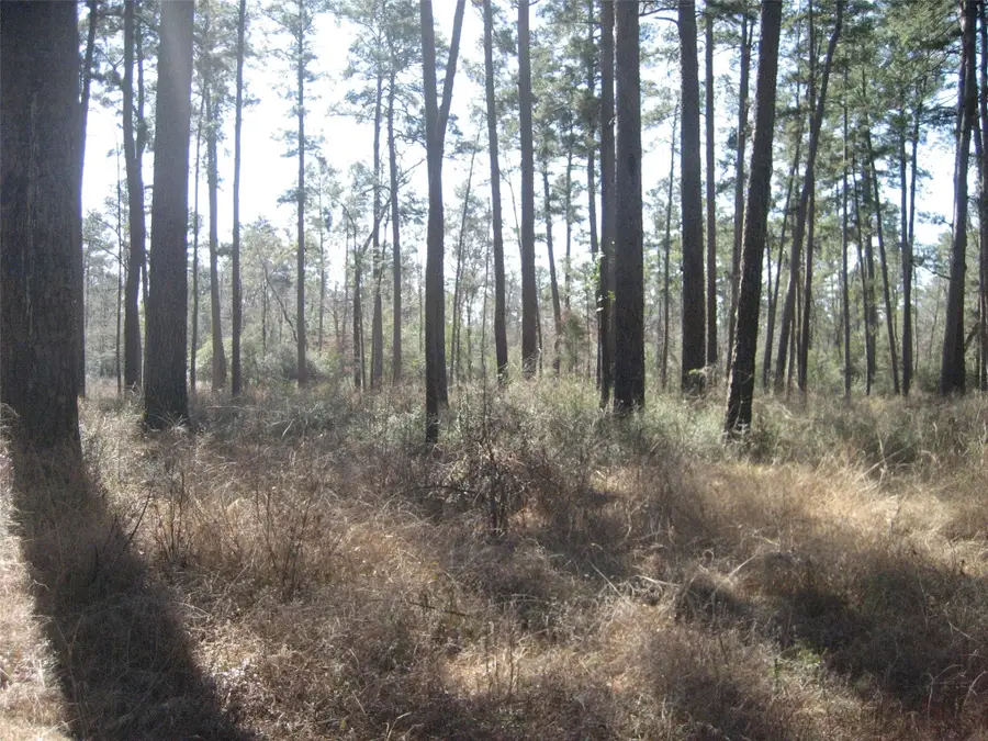 00 Usf 505, Kennard, TX 75847 - Image #3