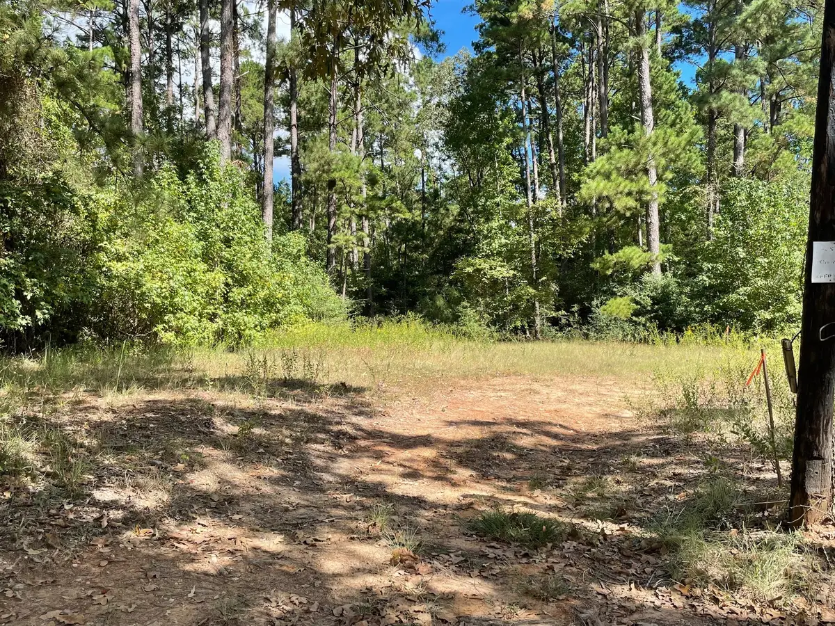 TBD Cr 1170, Kennard, TX 75847 - Image #1