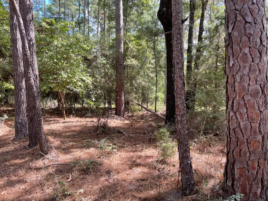 TBD Cr 1170, Kennard, TX 75847 - Image #2