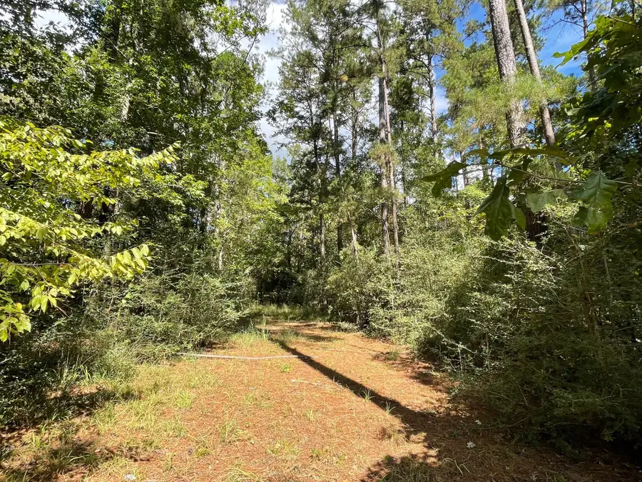 TBD Cr 1170, Kennard, TX 75847 - Image #3