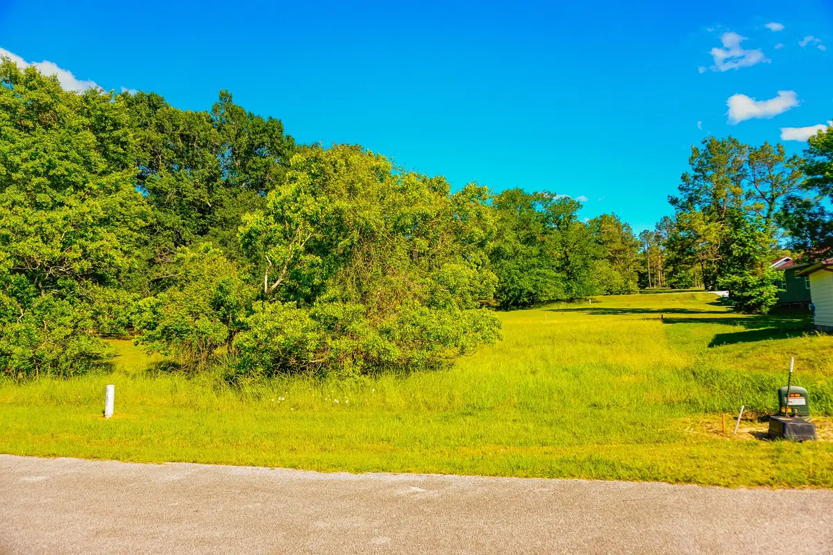 155 Wildwood Lake Drive N, Huntsville, TX 77340 - #1