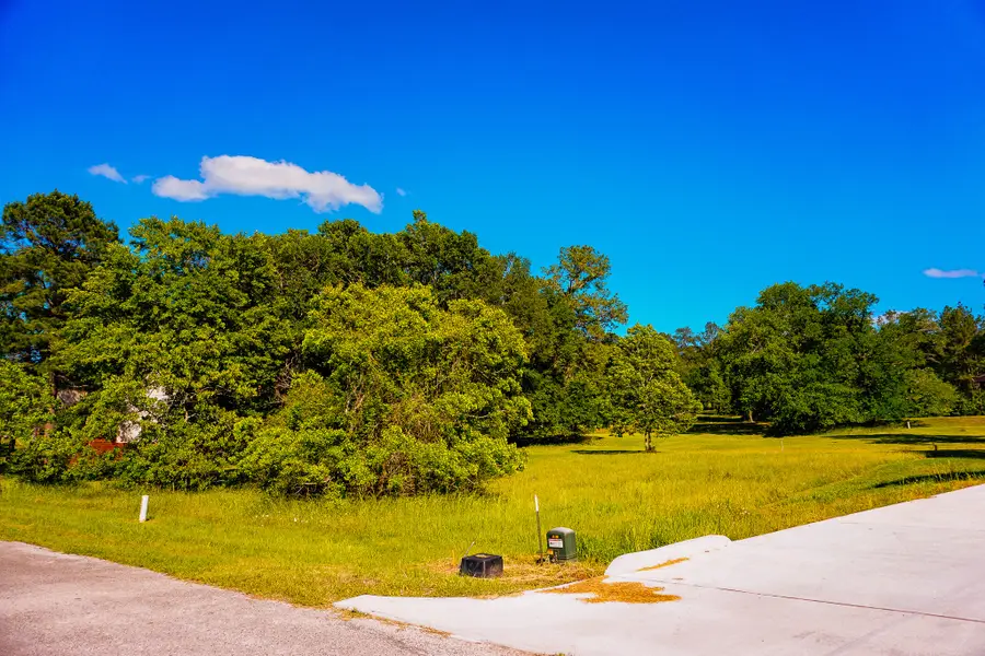 155 Wildwood Lake Drive N, Huntsville, TX 77340 - #3